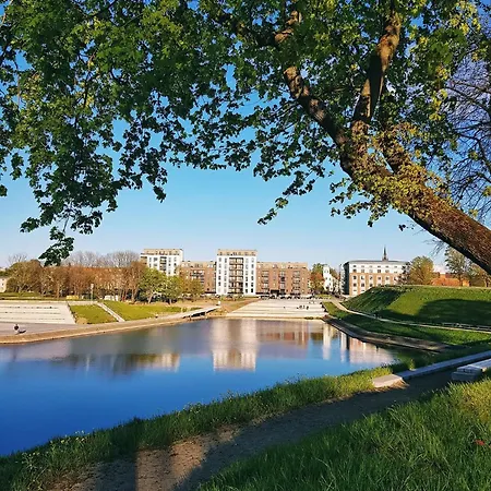 Novi With A View Of Jono Kalnelis *
