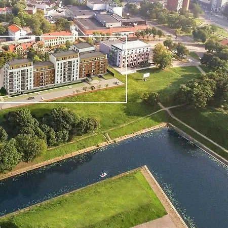 Novi With A View Of Jono Kalnelis